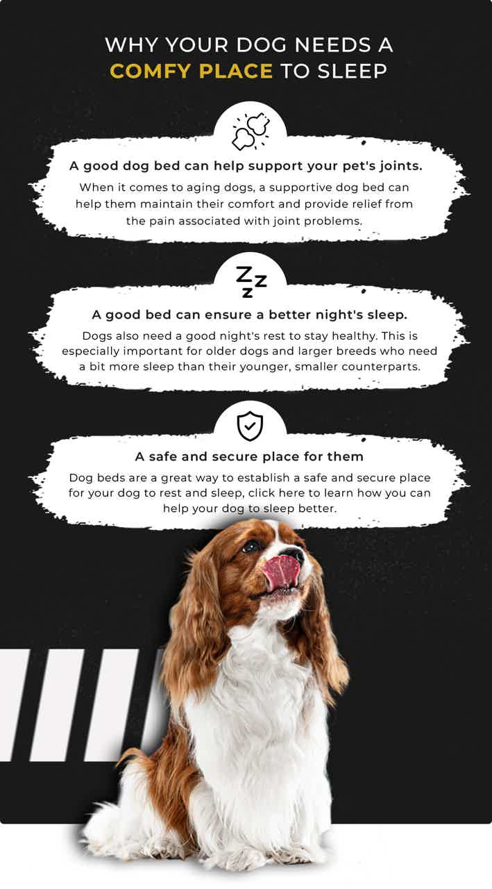 Calming Donut Dog Bed PetBelong